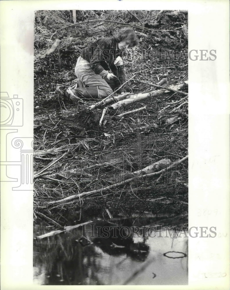 1989 Press Photo Emily Day Sets an Alder Seedling on South Whidbey Island
