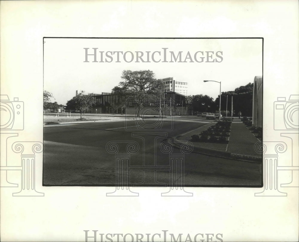 1974 Press Photo Houston Museum of Fine Arts, exterior shot - hca00102