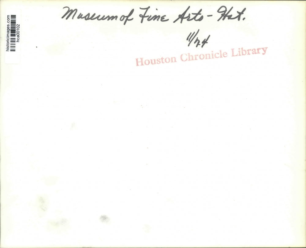 1974 Press Photo Houston Museum of Fine Arts, exterior shot - hca00102