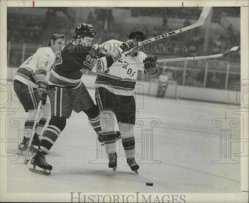 1974 Press Photo Houston Aeros, Hockey - hca00976- Historic Images