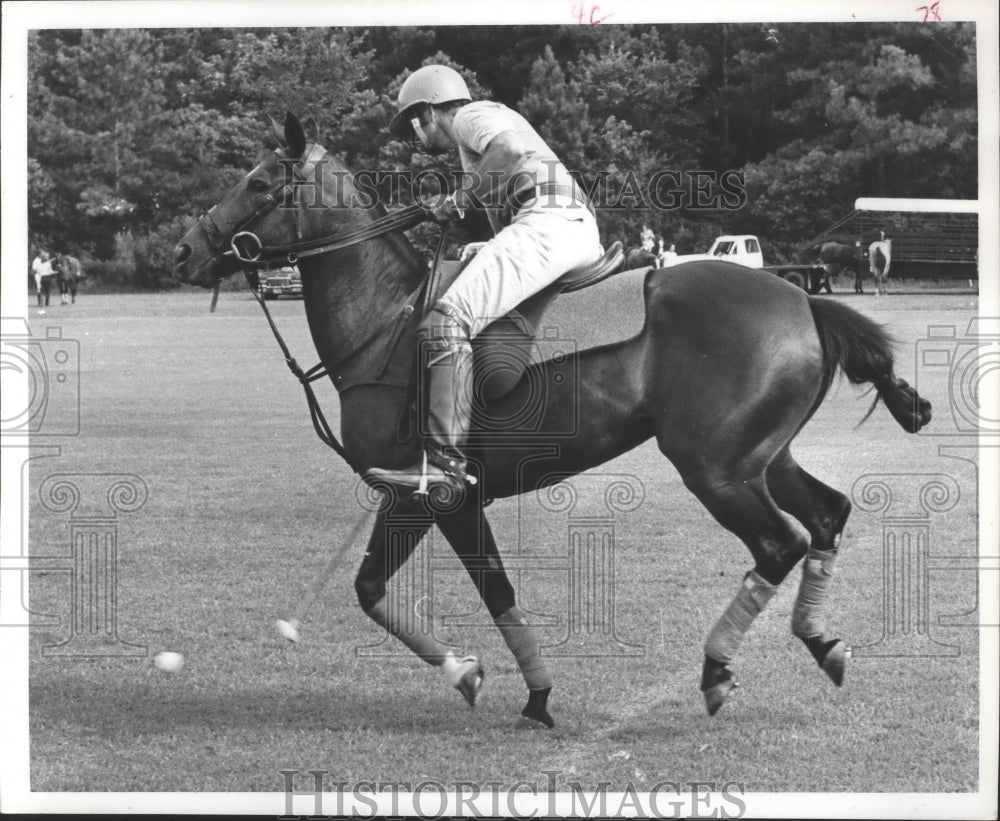 1973 Press Photo Agil rider at Houston Polo Club - hca01500- Historic Images