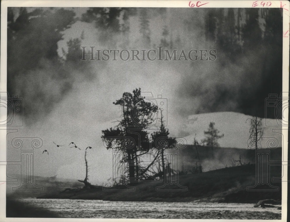 1972 Press Photo Goldeneye ducks swoop through Yellowstone Park - hca01853