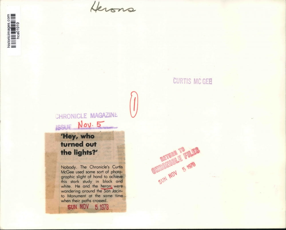 1978 Press Photo Black and White photo of a heron, near San Jacinto Monument