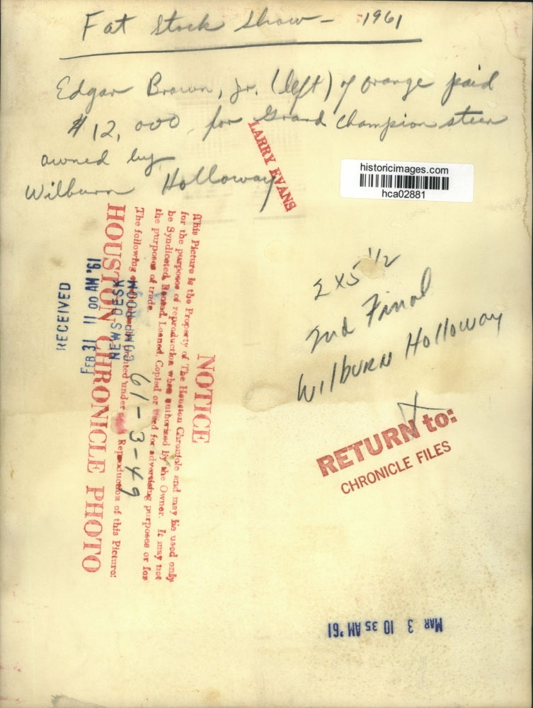 1961 Press Photo Grand Champion Steer at Fat Stock Show - hca02881