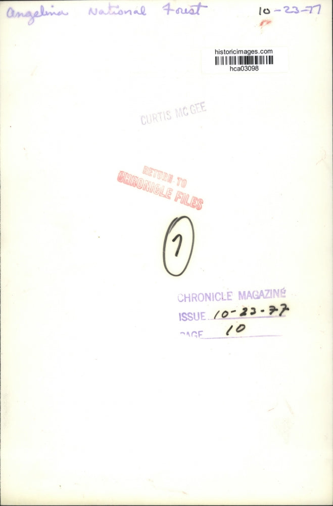 1977 Press Photo Cabin at Angelina National Forest - hca03098