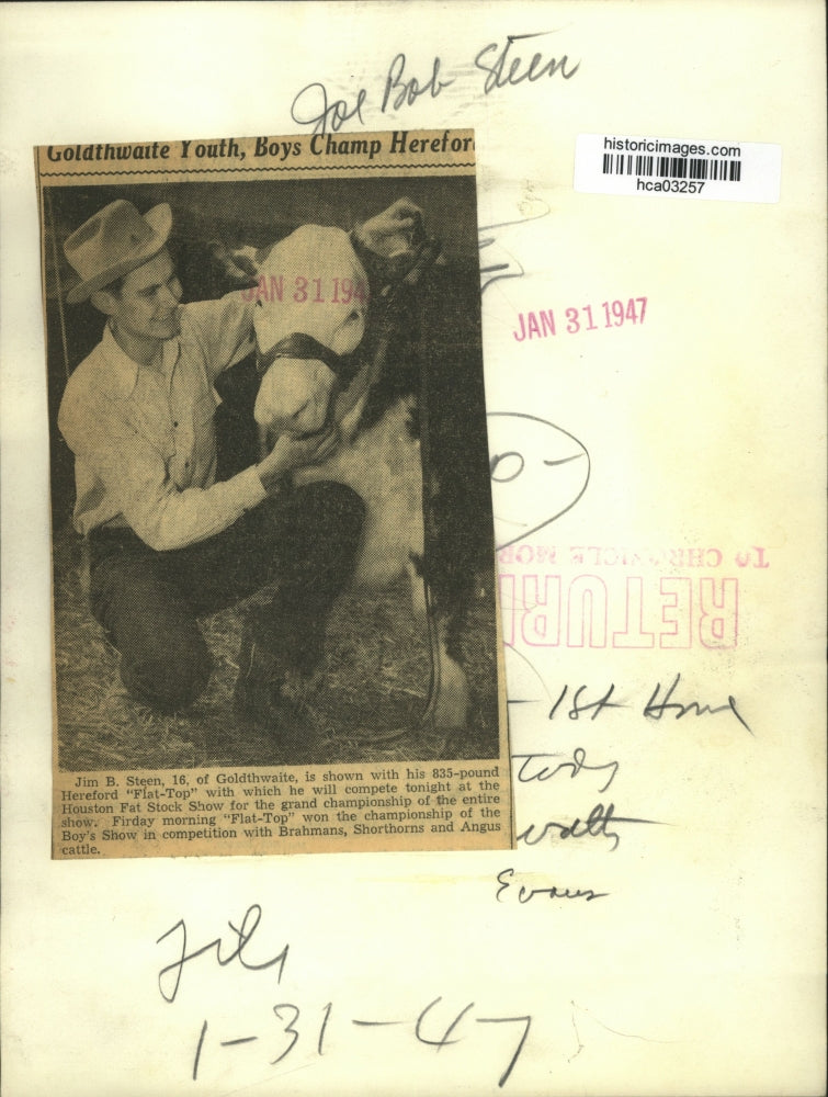 1947 Press Photo Jim Steen & "Flat-Top" will compete at Fat Stock Show, Houston