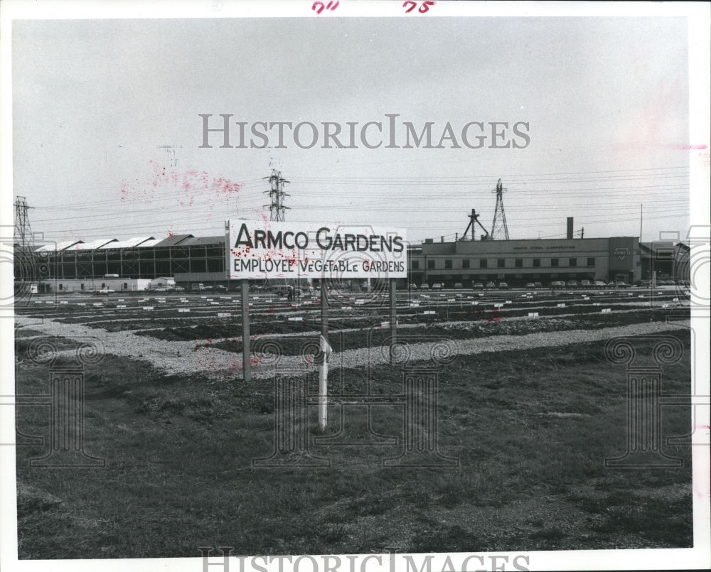 1975 Press Photo Armco Employee Gardens, Armco Steel Co. - hca04185