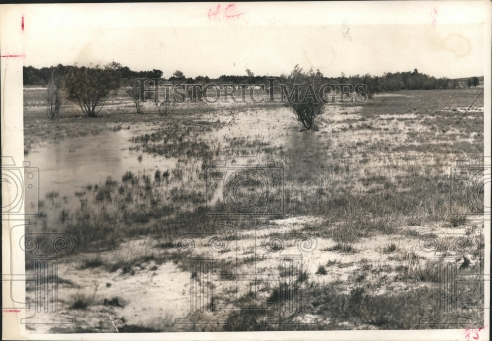 1958 Press Photo Flooded Field -Dam-Addicks-Houston - hca04754