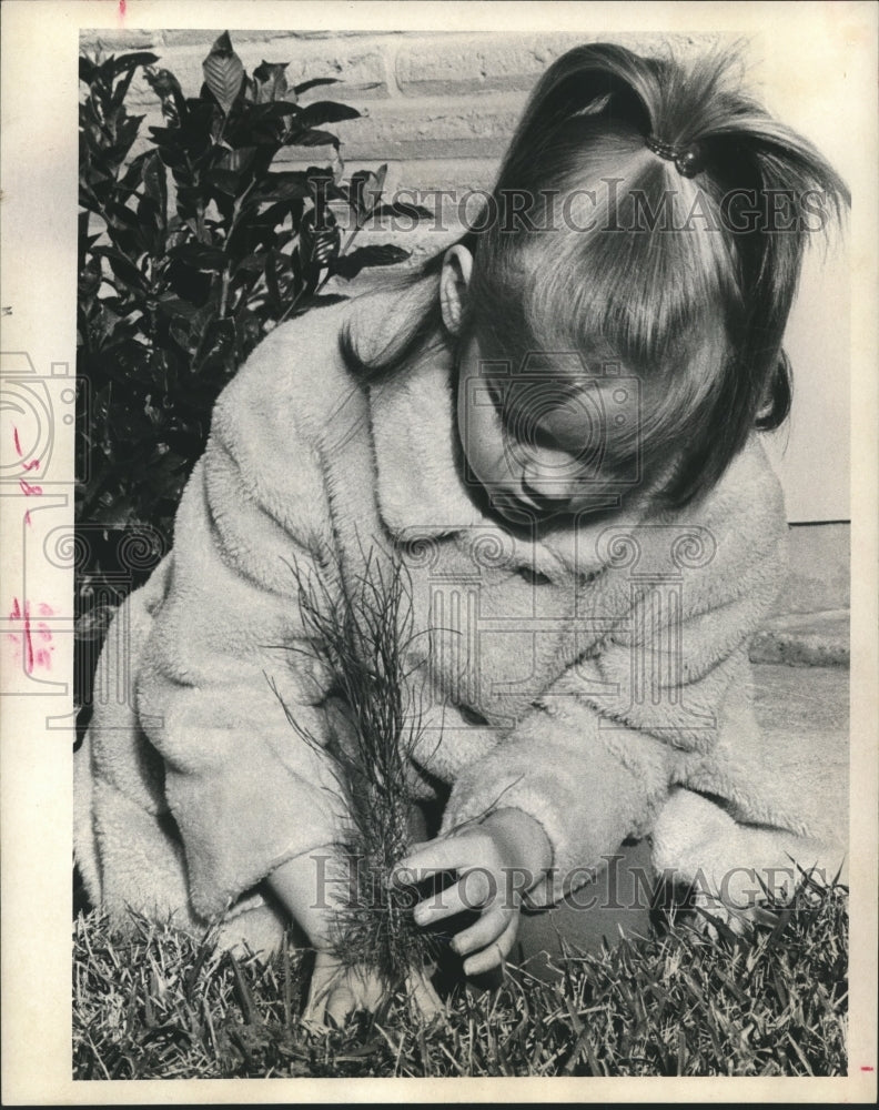 1973 Press Photo Marie Railey, 6, plants tiny seedlings in Alief, Texas