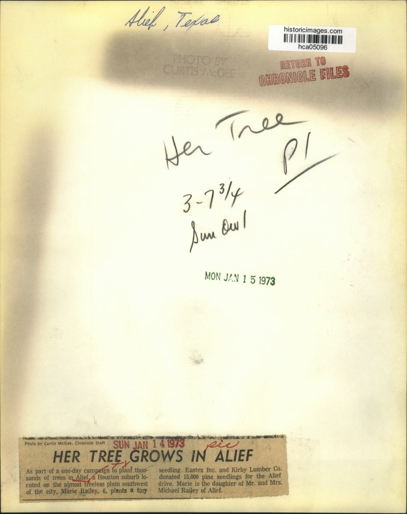 1973 Press Photo Marie Railey, 6, plants tiny seedlings in Alief, Texas