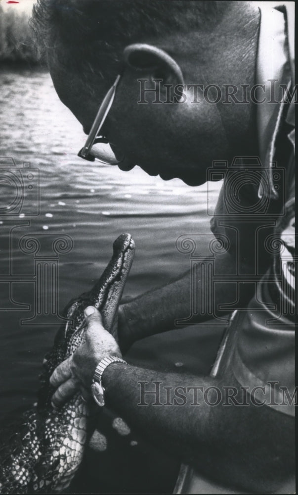 1970 Press Photo Walther inspects alligator hit by boat propeller in canal