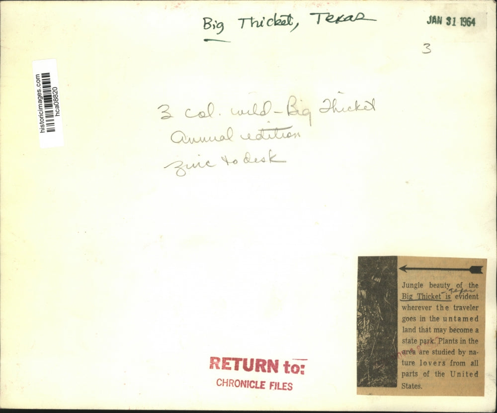 1964 Press Photo Water & Jungle Beauty of the Big Thicket State Park in Texas