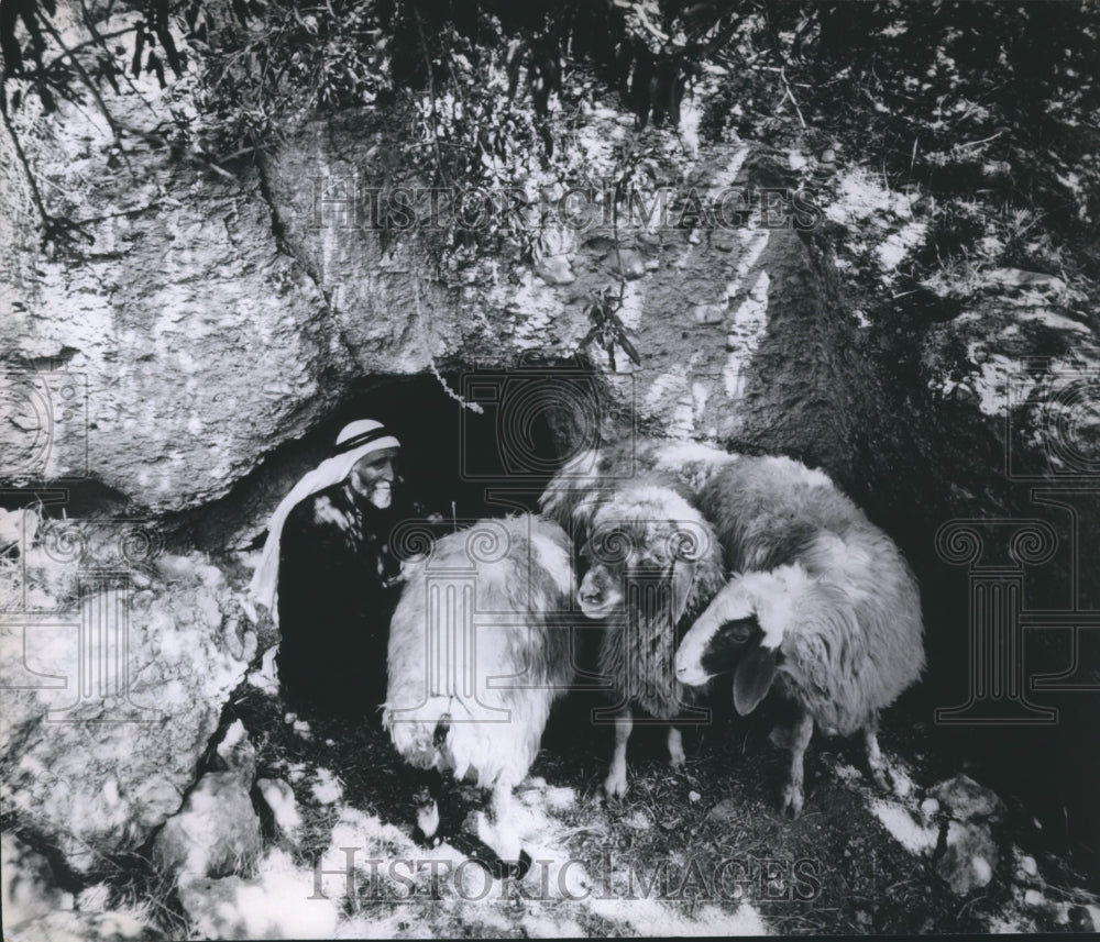 1968 Press Photo Bethlehem caves were shepherds still seek shelter for sheep- Historic Images