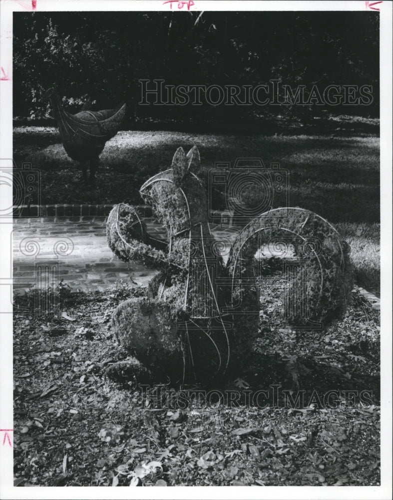 1975 Press Photo Frame of a big squirrel at Bayou Bend, Houston - hca09834