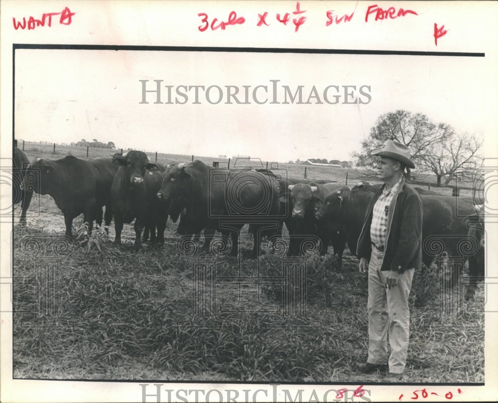 1971 Press Photo Norval Sell and His Cattle in The Field on His Texas Ranch