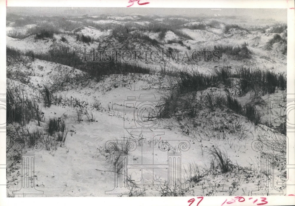 1973 Press Photo Bryan Beach Park Ha - hca10877