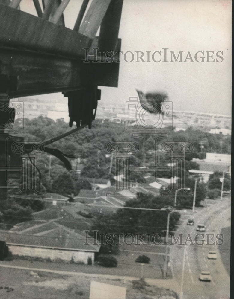1966 Press Photo The Perils of Bird Flying to Nest under Construction Equipment