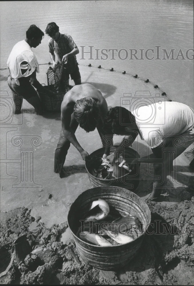 1971 Press Photo Fishermen at Harvest Time at Winnie's Catfish Acres in Texas.