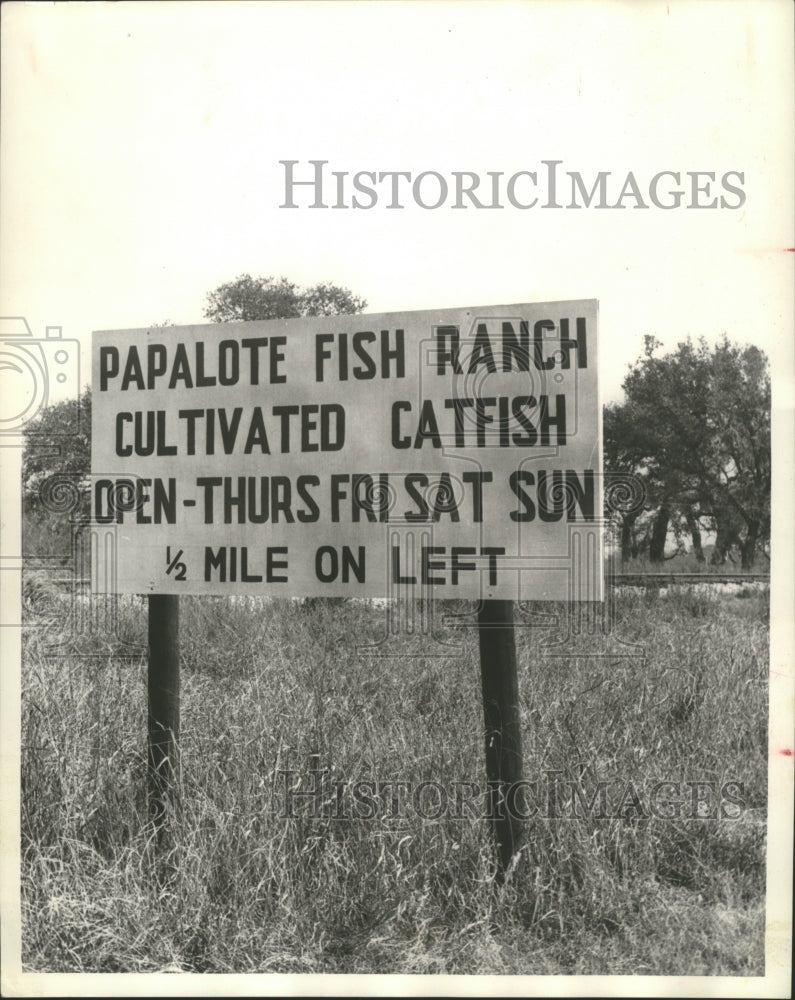 1971 Press Photo Papalote Catfish Farming Ranch in South Texas. - hca14026