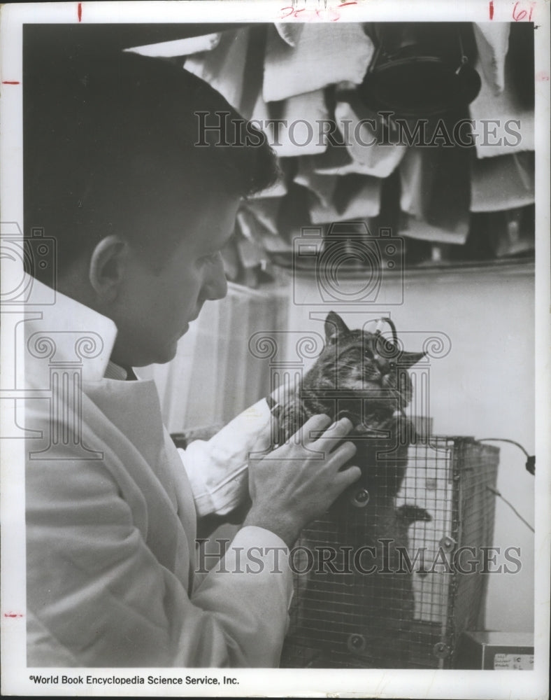 1967 Press Photo James Saunders Measures Cats Brain in Research & Learning Lab.