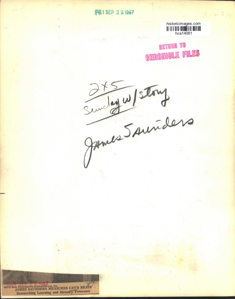 1967 Press Photo James Saunders Measures Cats Brain in Research & Learning Lab.