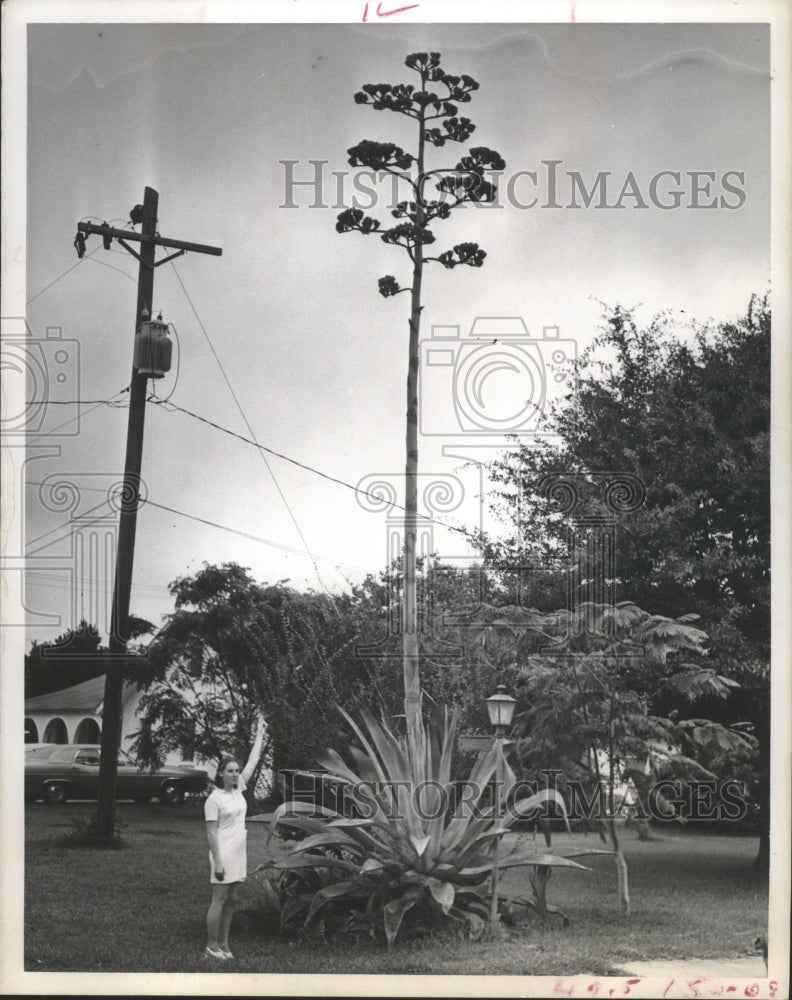 1972 Press Photo Mrs. Bonnie Wright & Cactus Century Plant. - hca14195