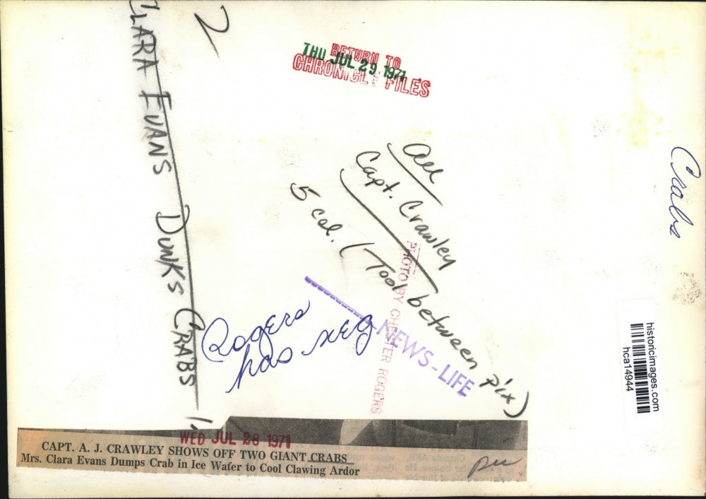 1971 Press Photo Mrs. Clara Evans Dumps Crabs In Ice Water To Cool Clawing Ardor