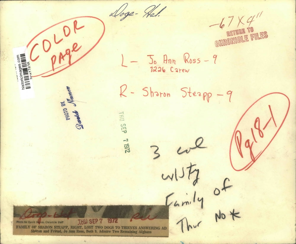 1972 Press Photo Sharon Steapp and Jo Ann Ross with Afgahan dogs, Houston