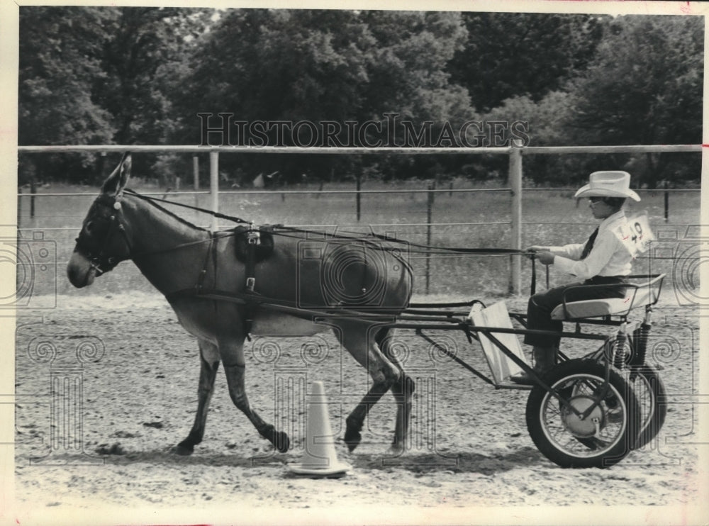 1980 Press Photo Young man races his Donkey - hca17585- Historic Images