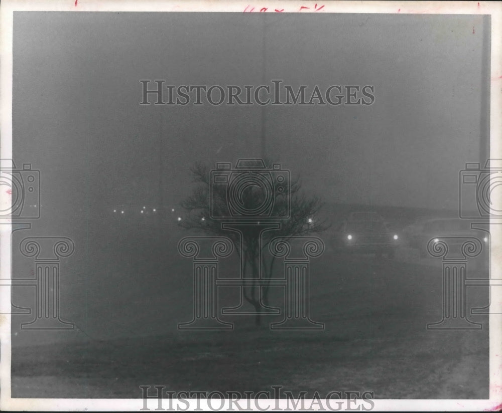 1969 Press Photo Eerie Myrtle Bush Framed With Car Lights Through Houston Fog.- Historic Images