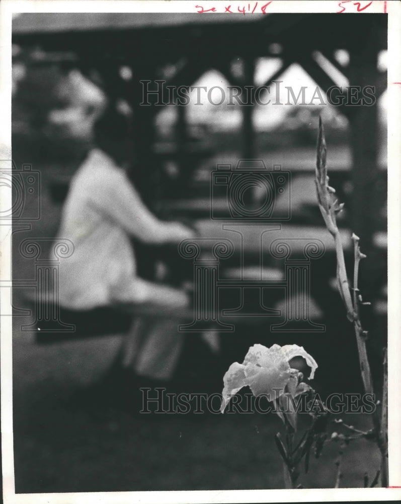 1966 Press Photo Picnic grounds at Harlem Prison farm - hca22565