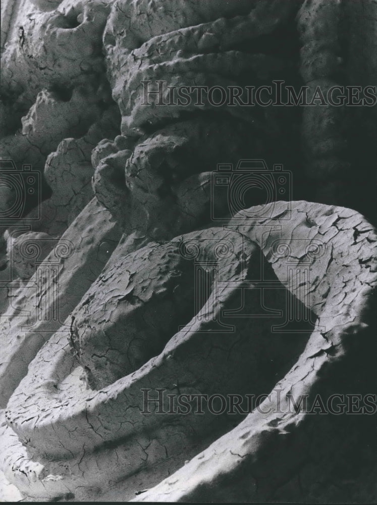 1969 Press Photo Peeling paint on the columns of Hackney House in Houston