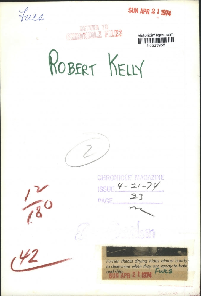 1974 Press Photo Furrier Robert Kelly checks drying hides. - hca23958