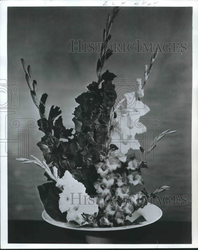 1968 Press Photo Display of All-America Gladiolus Selections - hca25418