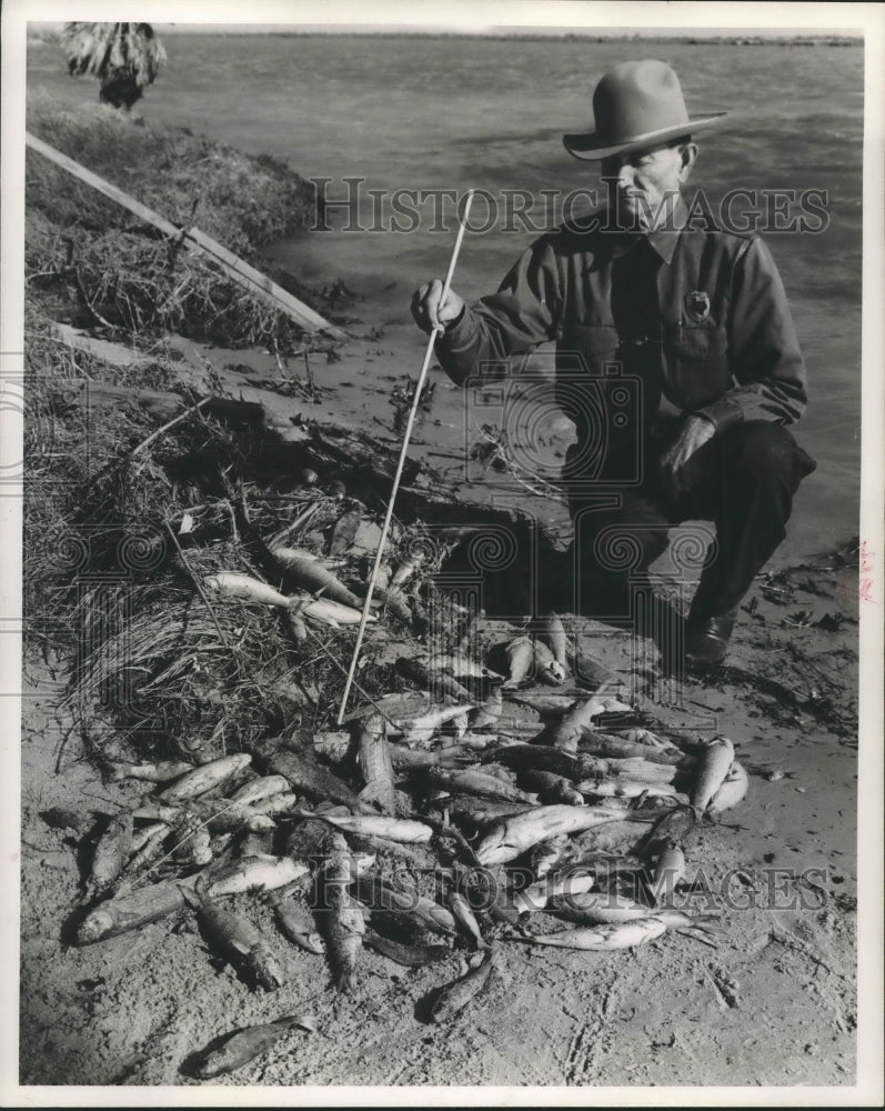 1951 Press Photo Official views fish kill in Texas - hca25784