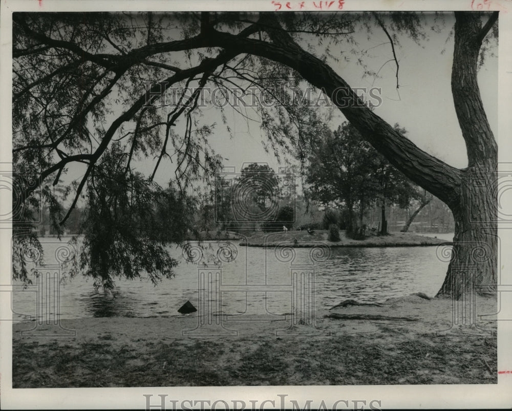 1964 Press Photo On shore of Dodson Lake in Houston, Texas - hca26404