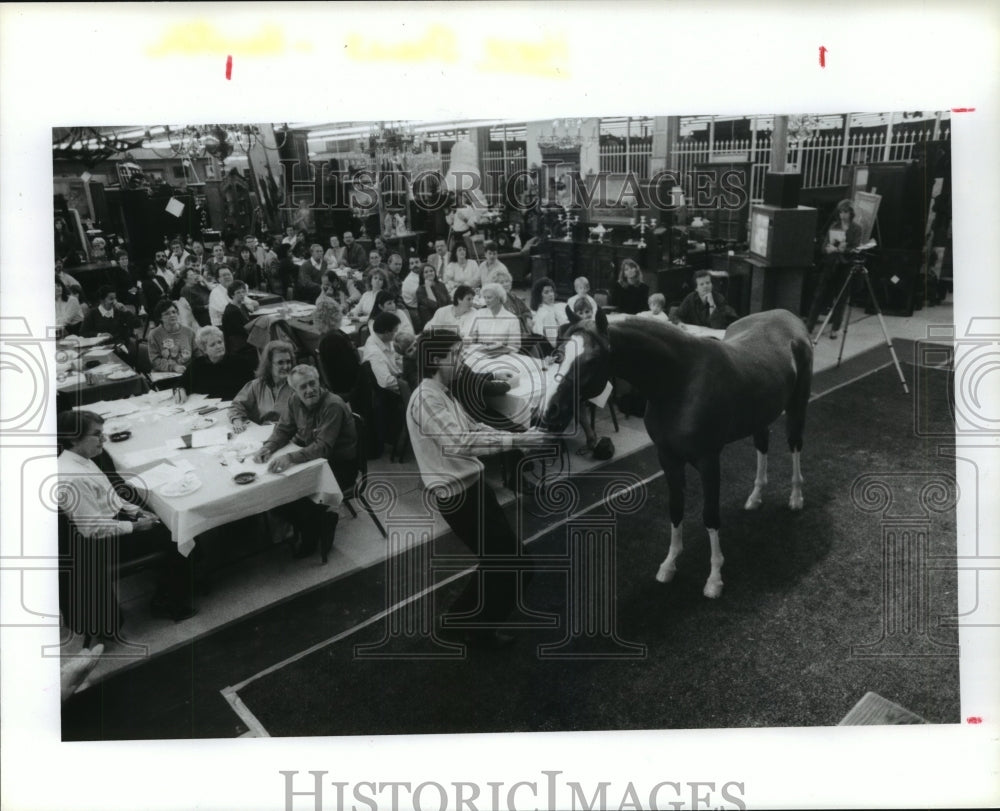 1989 Press Photo Dan McNair shows horse at Hart Galleries seminar in Houston- Historic Images