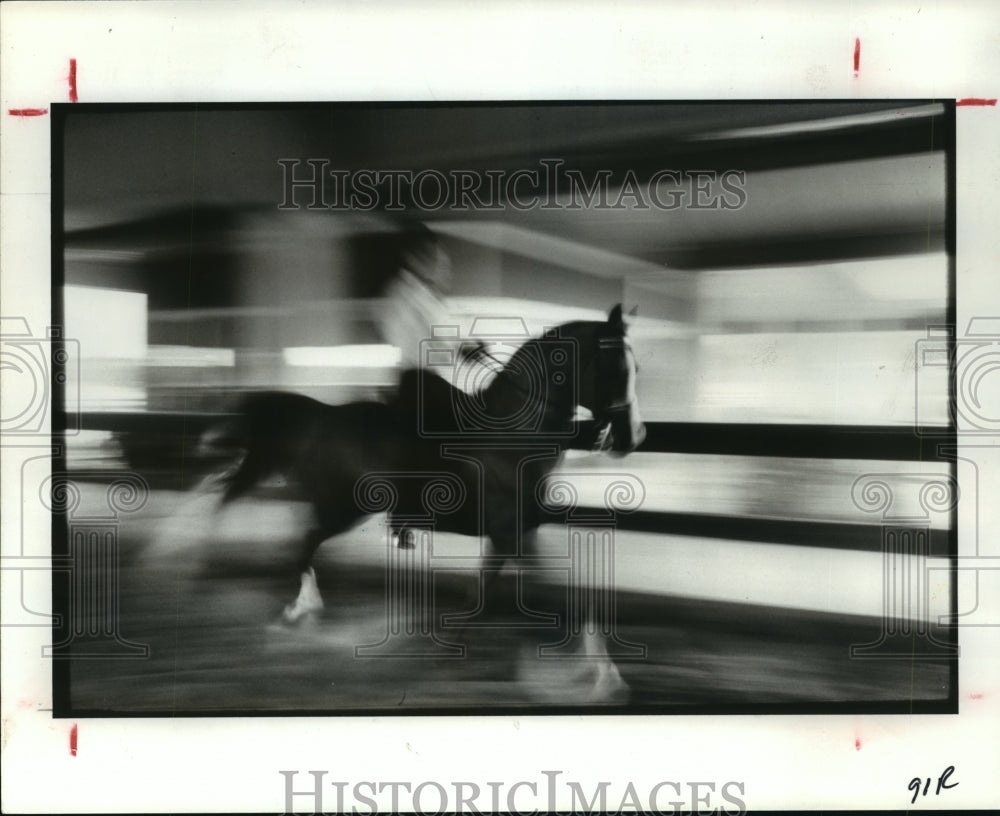 1987 Press Photo Rider gallops on Arabian horse in enclosure - hca28246- Historic Images