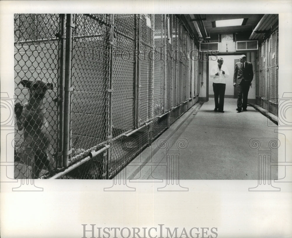 1973 Press Photo Dr. Stephen Hegysei at Houston Rabies Control Center kennel