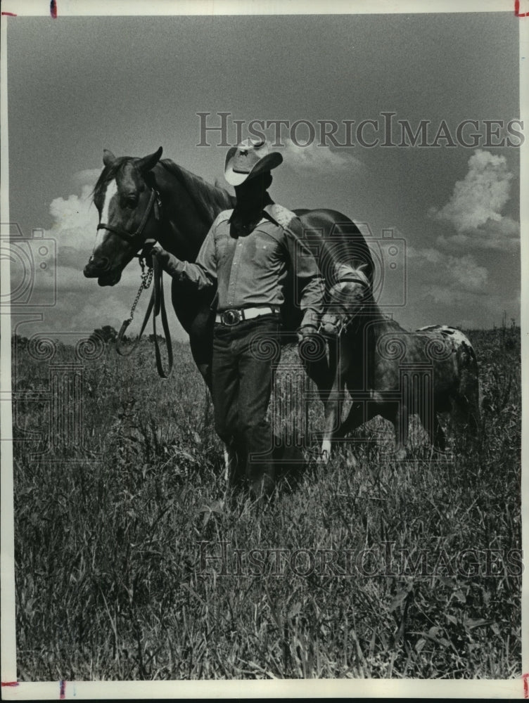 1979 Press Photo Harold Sherwood leads horse Chief and full-size horse- Historic Images