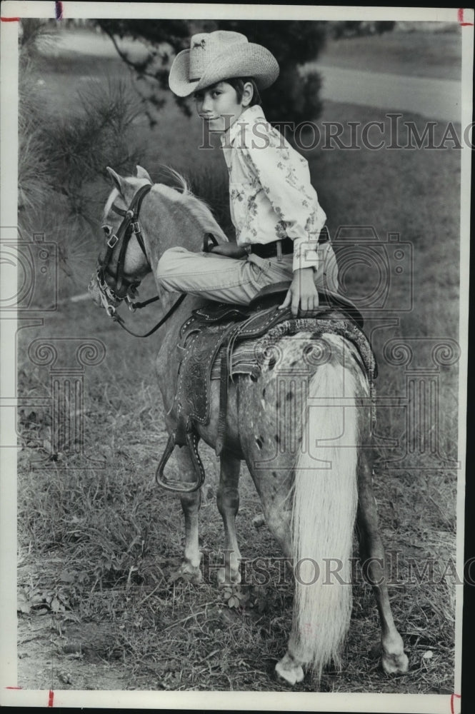 1979 Press Photo David Sherwood rides horse, Chief. - hca30269- Historic Images