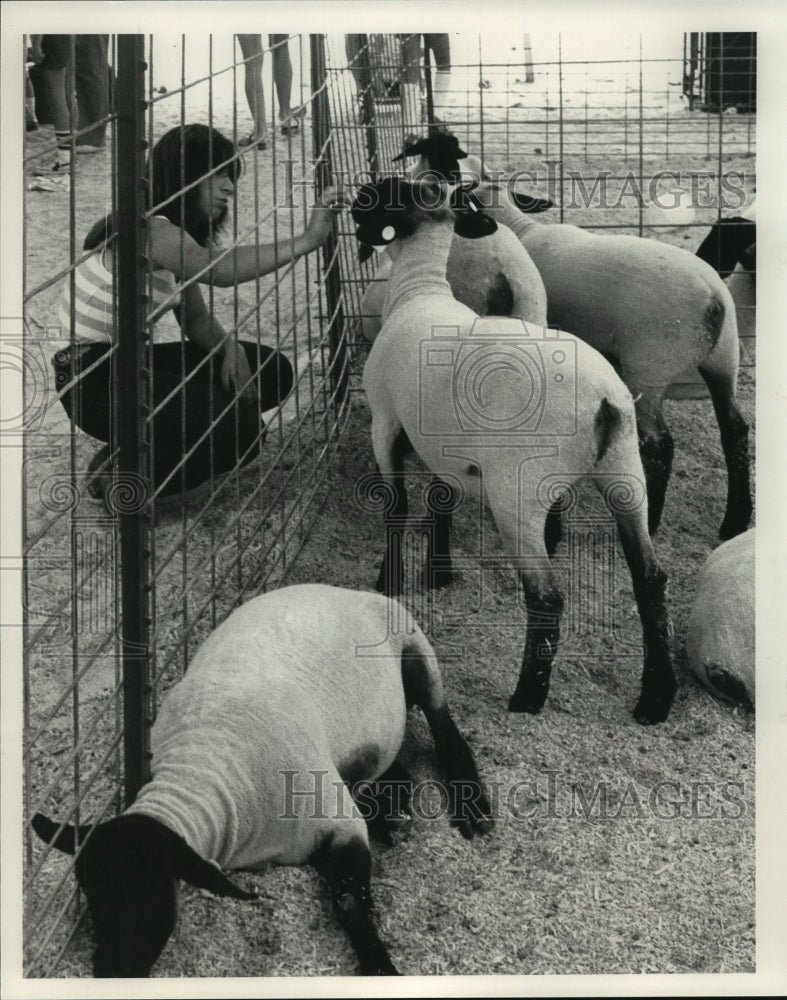 1983 Press Photo Women pets sheep at Houston - Harris County Fair in Texas