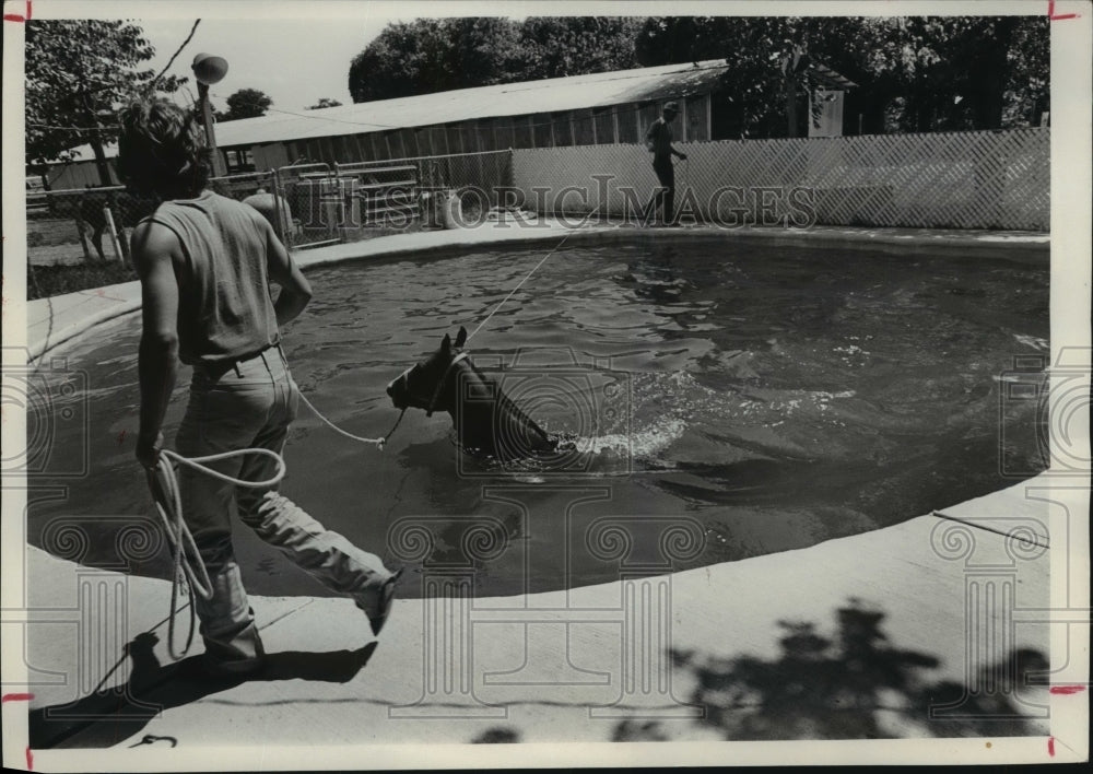 1979 Press Photo Stable workers train horse in pool - hca30947- Historic Images