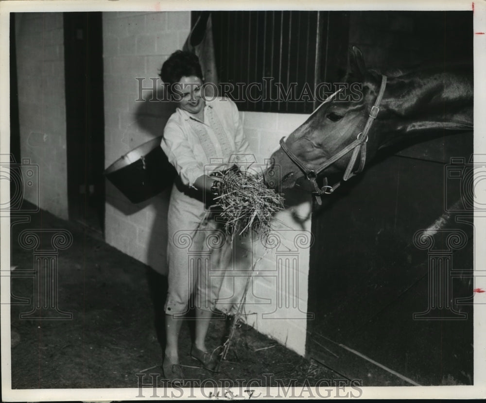 1960 Press Photo Women feeds hay to horse in stall - hca31393