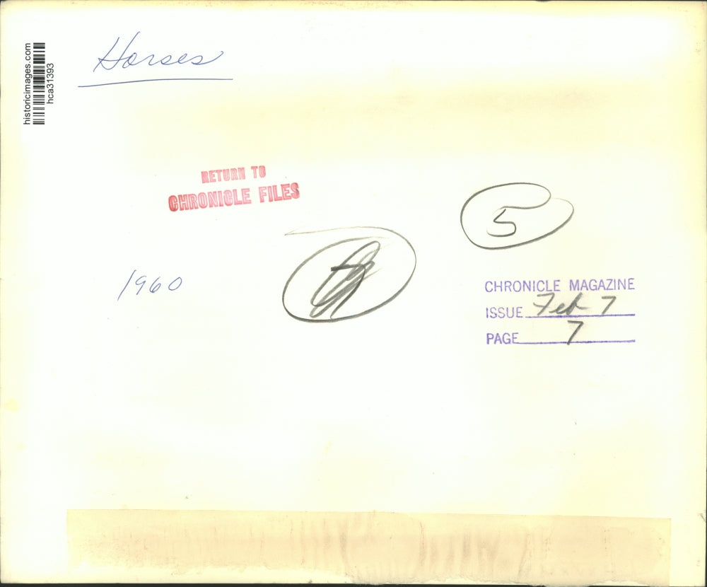 1960 Press Photo Women feeds hay to horse in stall - hca31393