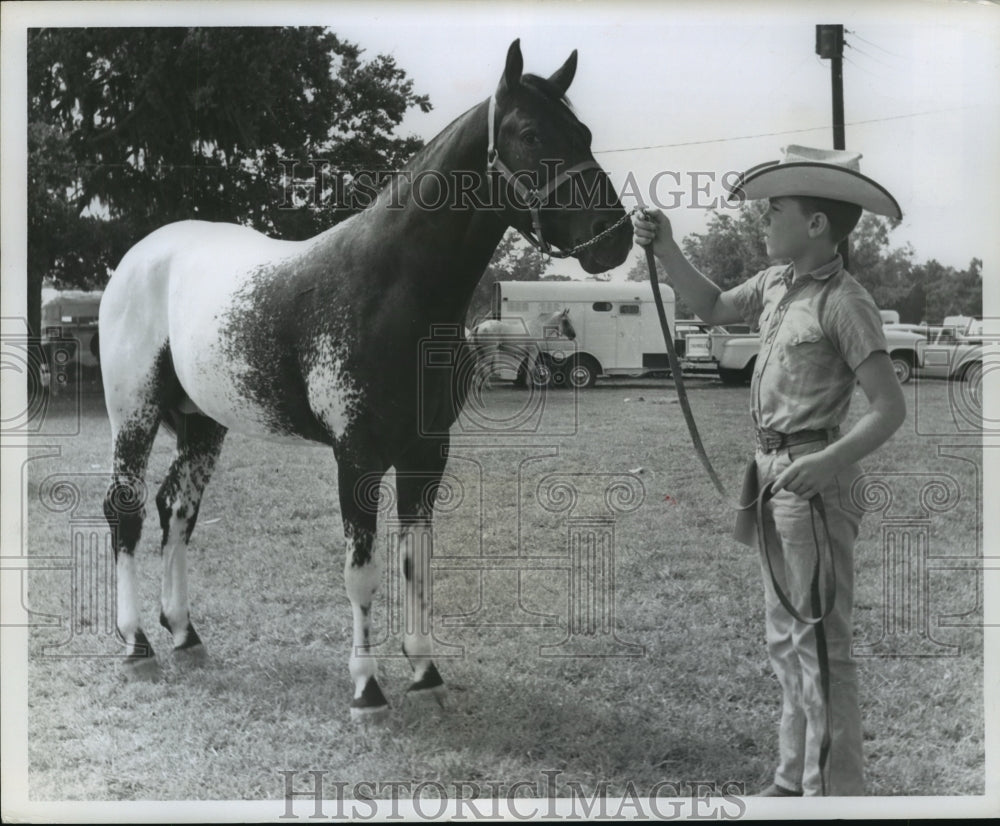 1952 Press Photo Joe Smith holds horse - hca31397- Historic Images