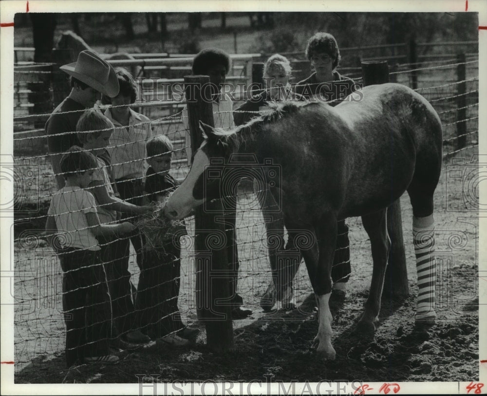 1983 Press Photo Family feeds horse through fence in Texas - hca31455- Historic Images