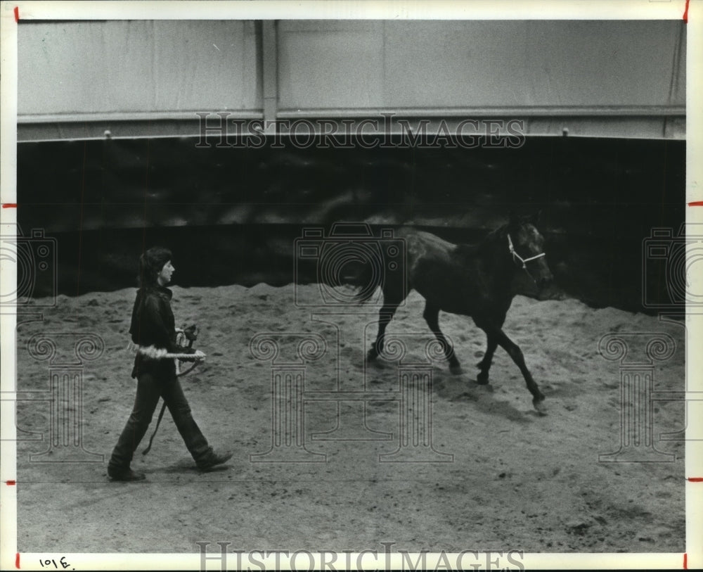 1985 Press Photo Student Julia Joseph works with a horse in pen in Texas- Historic Images