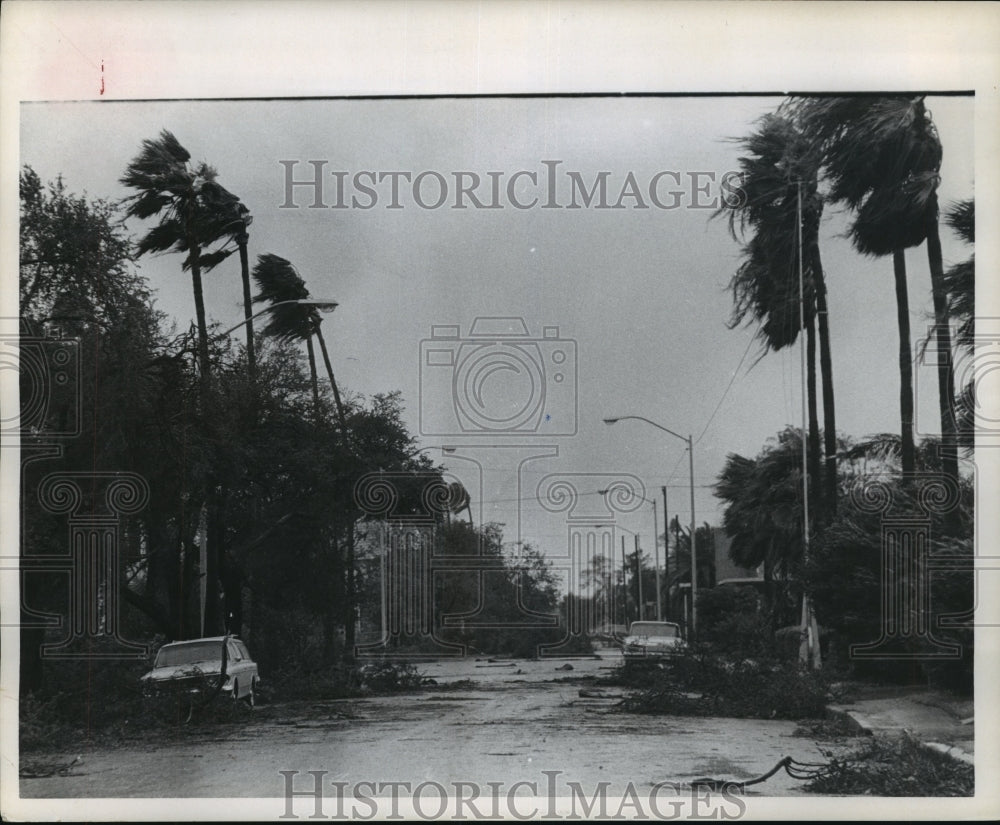 1967 Press Photo Street scene in Brownsville, TX after Hurricane Beulah strikes- Historic Images