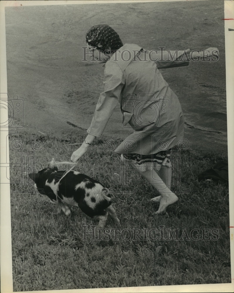 1961 Press Photo Owner rescues pig from flood in Channelview after hurricane